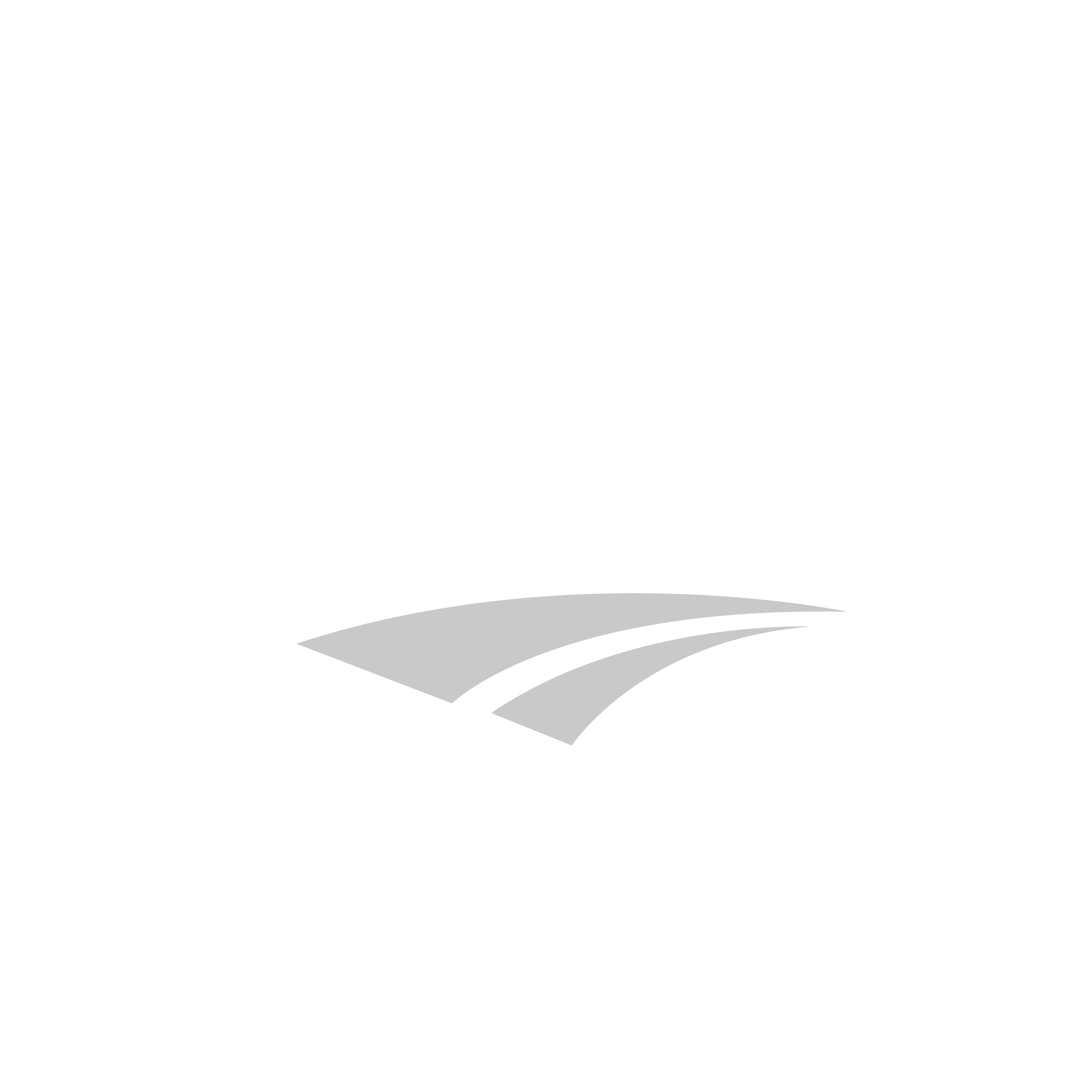 logo CAN DE TERRE